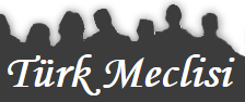 Türk Meclisi